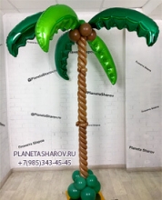 vysokaya palma iz sharov 1