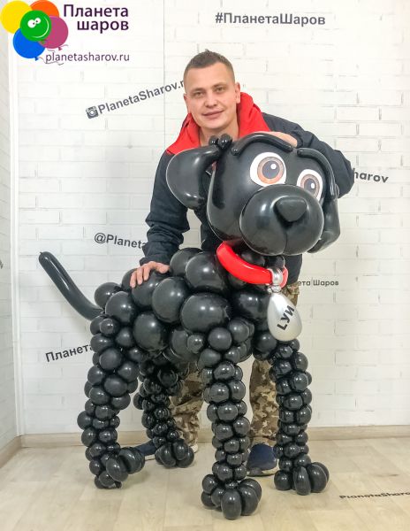 ❶ Как сделать из шарика собаку 🚩 как сделать собачку из шарика фото 🚩 Hand-made