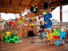 День рождения Angry Birds