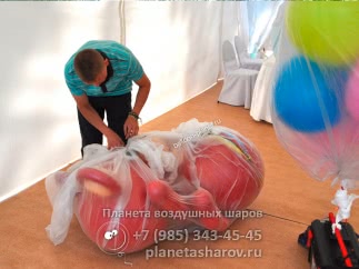 Олимпийский мишка из шаров
