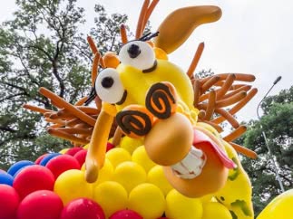 Наш мадагаскар из шаров занял 1 место на II Южно-Российский фестивале воздушных шаров Наш мадагаскар из шаров занял 1 место на II Южно-Российский фестивале воздушных шаров