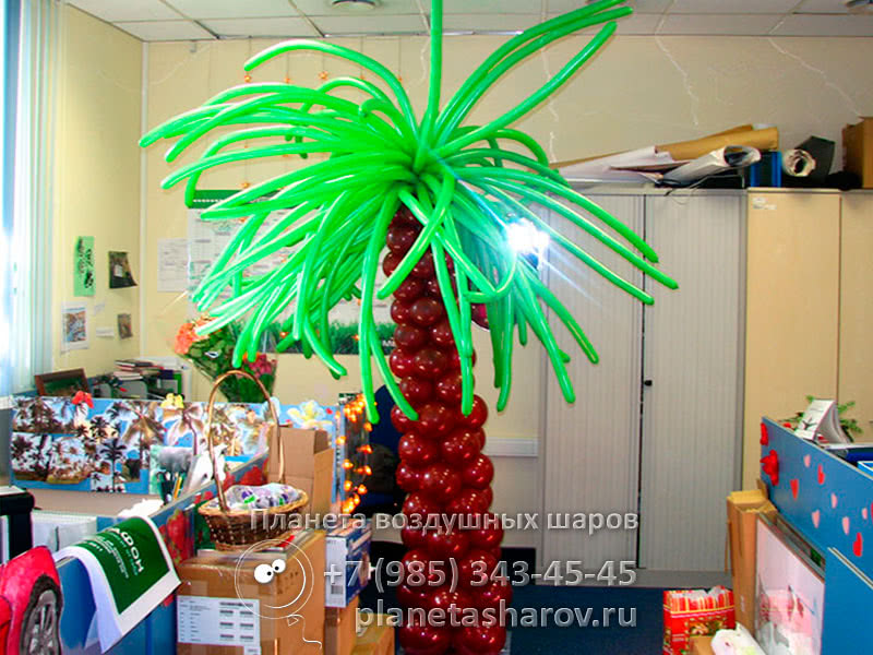 Пальма для украшения офиса