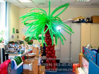 Пальма для украшения офиса Пальма для украшения офиса