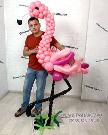 Розовый фламинго
