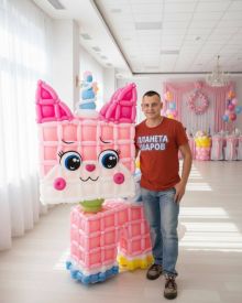 Большой котик из шаров