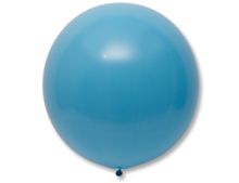 Э 24"/170 Стандарт Powder Blue