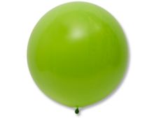 Э 24"/280 Фэшн Lime Green