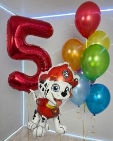 Шары на праздник Щенячий Патруль