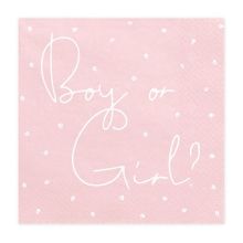 Салфетка Boy or Girl? 33см 20шт/PD