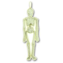 Скелет светящ в темноте пластик 39см/A