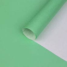 Бумага упак Мятный 67х99см