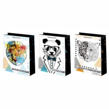 Пакет бум Мужские эпитеты 18х23