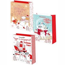 Пакет бум НГ Рисунок 22х31см