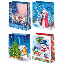 Пакет бум НГ Снег 26х32см