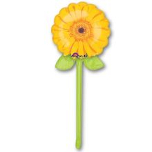  Георгин желтый