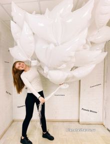 Воздушные голуби