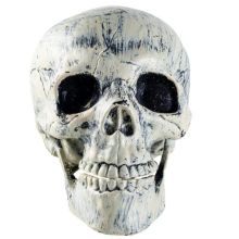 Череп пластик 34х20х15см/G