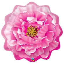  Пион розовый