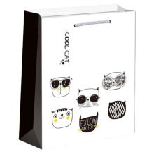 Пакет бум Забавные Котята 18х23см