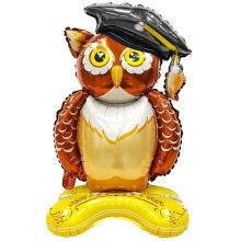  Сова Выпускник темно-коричн