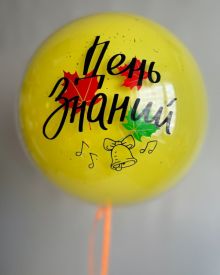 Комплект шаров 1438