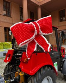 Большой бант для машины