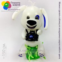 Собачка из шаров с фотоаппаратом