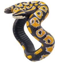 Браслет Змея Питон/G