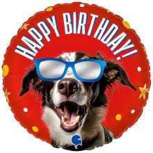 Г 18" HB Песик в очках