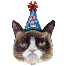  Кот сердитый в колпаке