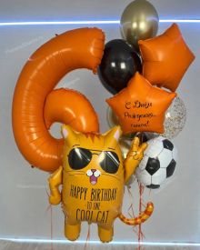 Набор шаров на 6 лет с крутым котом