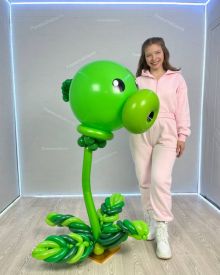 Горохострел