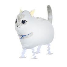 К ХОД Кот белый