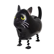 К ХОД Кот черный