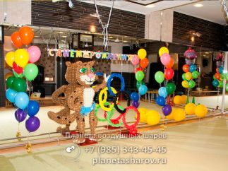 День рождения в стиле олимпиады