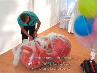 Олимпийский мишка из шаров Олимпийский мишка из шаров