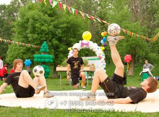 Оформление дня парков