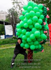 Оформление дня парков