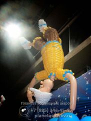 Оформление турнира по танцам