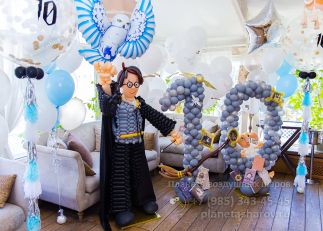 День рождения в стиле Гарри Поттера День рождения в стиле Гарри Поттера