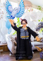 День рождения в стиле Гарри Поттера День рождения в стиле Гарри Поттера