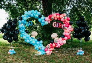 Гендер пати Гендер пати