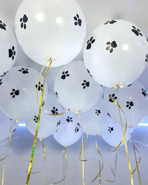 Гелиевые шарики с лапками