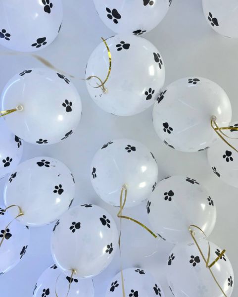 Гелиевые шарики с лапками