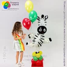 Цирковая зебра