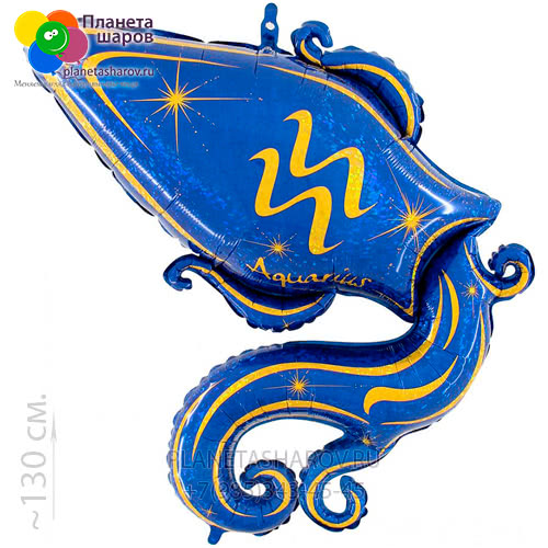 Шар Водолей