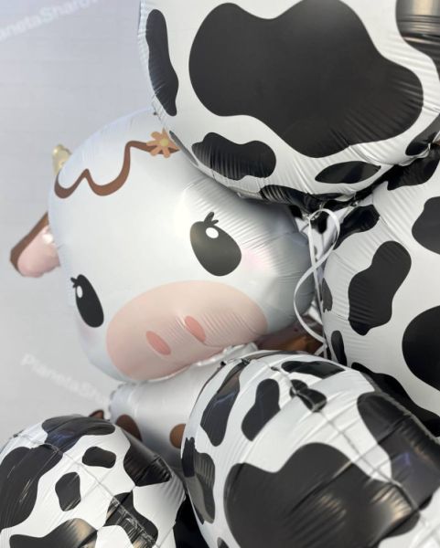 Шары "Самый лучший день"