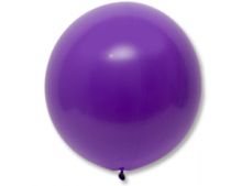 Э 24"/163 Стандарт Purple