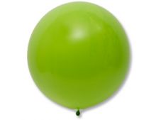 Э 24"/280 Фэшн Lime Green