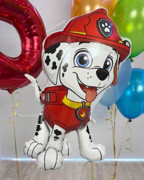 Шары на праздник Щенячий Патруль